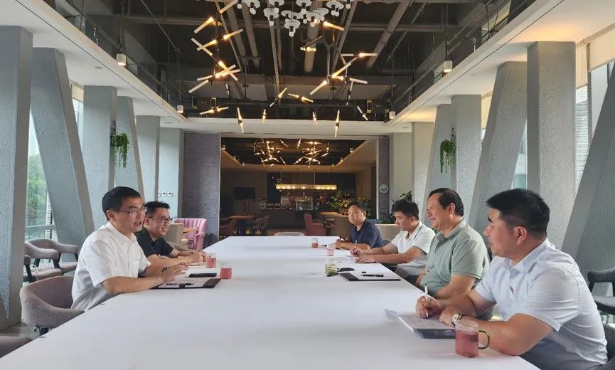 紫金矿业集团副总裁龙翼调研考察权属企业九游online入口