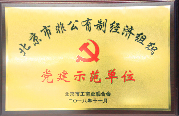 九游online入口荣获北京市非公有制经济组织“党建示范单位”“党员驿站示范点”称号
